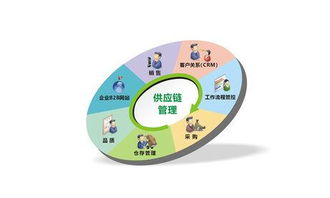 专业供应链管理服务 上海卓昕瑞供应链管理解析