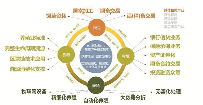 基于区块链技术的中国农畜产品质量安全可追溯体系简析——兼论品牌管理价值