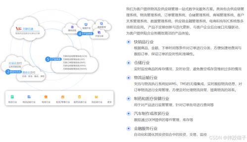 数字浪潮中的供应链与品牌双引擎 综合解决方案的视野与实践